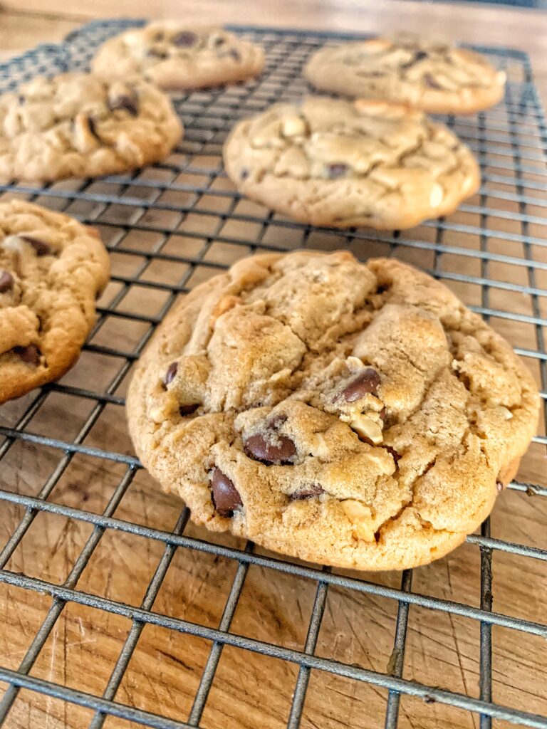 Peanut butter chocolate chip cookie close up on cooling rack