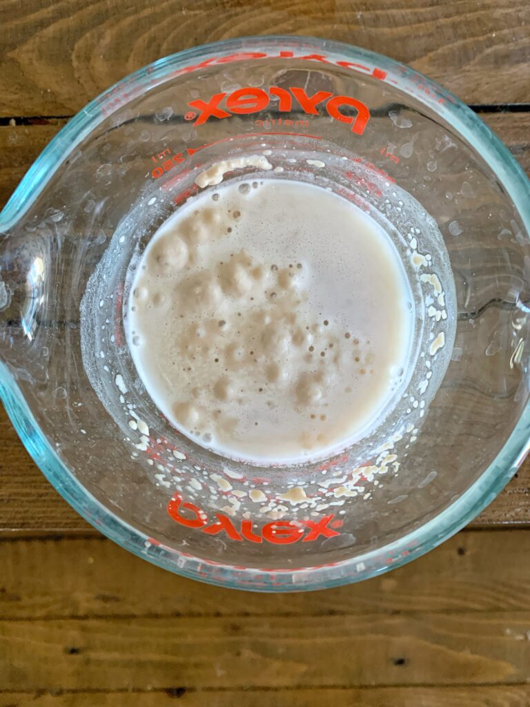 foamy yeast and water