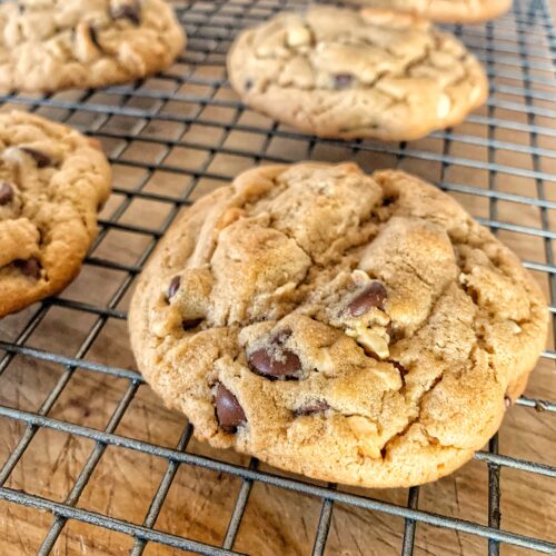 Peanut butter chocolate chip cookie close up on cooling rack